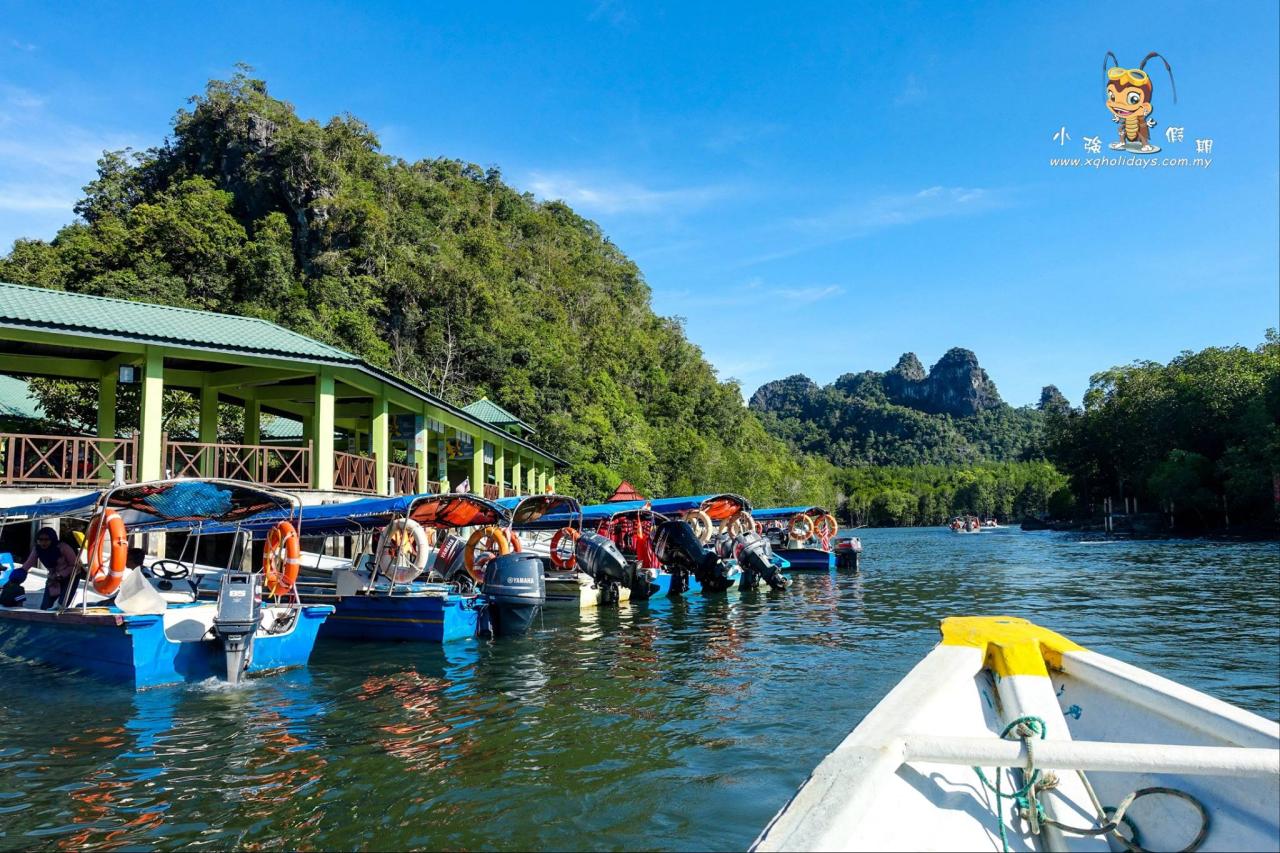 Jelajahi Keindahan Hutan Mangrove Langkawi dengan Tur Menakjubkan